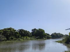 -鹤之洲湿地公园