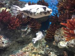 -福州罗源湾海洋世界旅游区