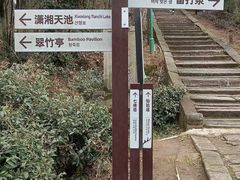 -长沙黑麋峰国家森林公园