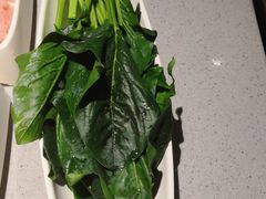 -海底捞火锅(老城根店)