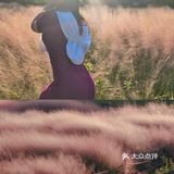现在！秋天～乱粉黛子正粉时！