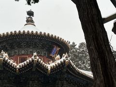 -故宫博物院(故宫)