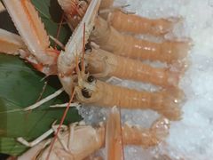 -桃夭日式料理(国信店)