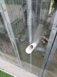 -萌宠亲子动物乐园(槐房万达店)