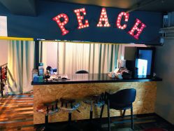 -桃秘钢管舞 Peach Pole Fitness