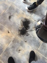 -小齐发型Star·Salon