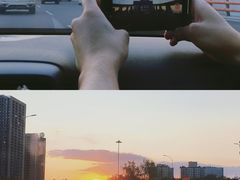 -南山植物园