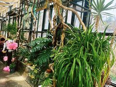 -北马山庄植趣咖啡