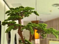-米桃-吴韵风雅·拙园(北外滩来福士店)
