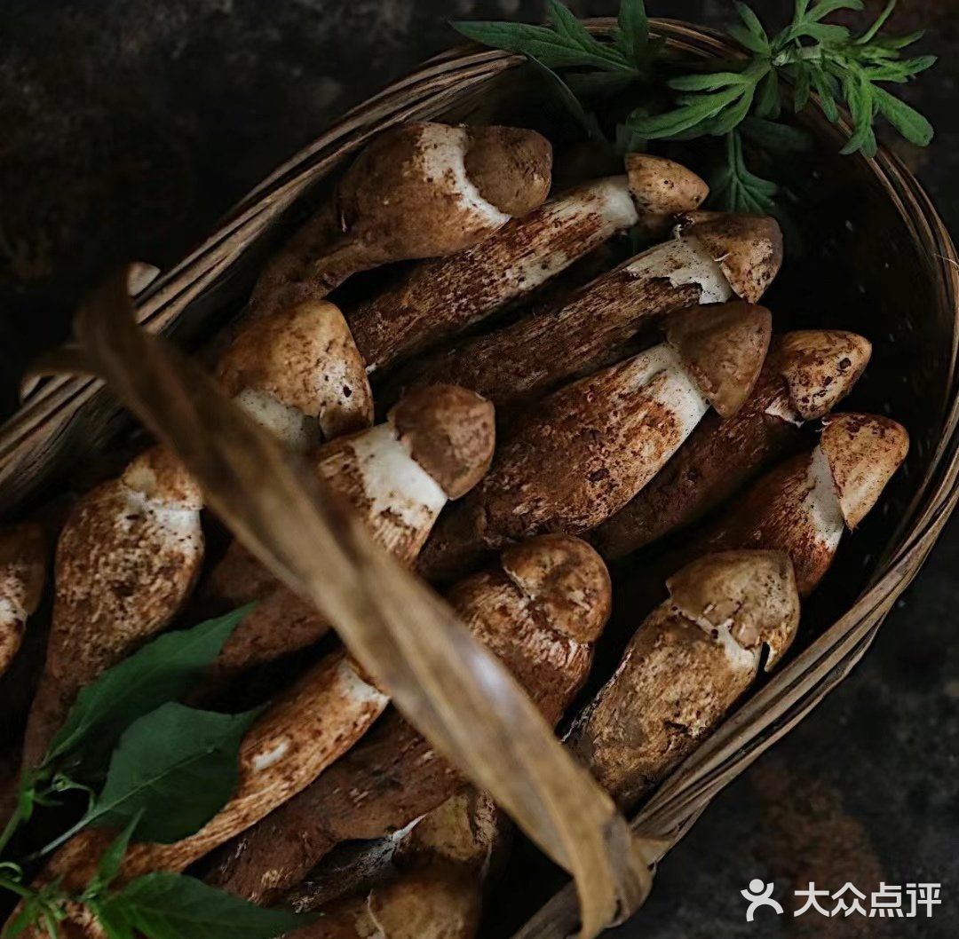 吃菌子火锅就到爱尚菌