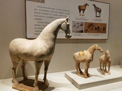 -深圳博物馆(古代艺术馆)