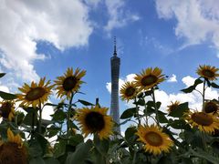 -海心沙亚运公园