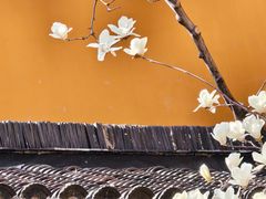 -龙华寺