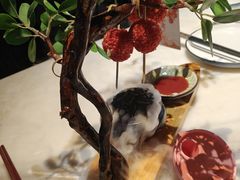 -唐猫庭院·千年陕菜(大唐不夜城店)