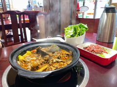 -火焰金龟甲(汉阳江滩旗舰店)