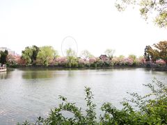 -无锡蠡湖国家湿地公园-蠡园