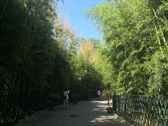 -红螺寺