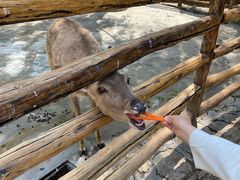 -竹泉村旅游度假区
