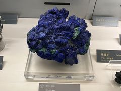 -中国地质博物馆
