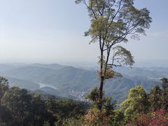 -广州市帽峰山景区