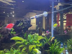 -阿莉餐厅(枣阳路店)