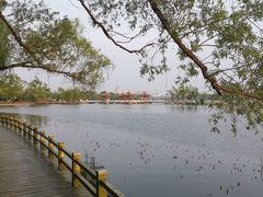 -长春市南湖公园