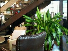 -MAAN  COFFEE(安达圣新天地店)