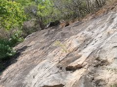 -北京鹫峰国家森林公园