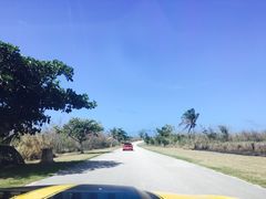 -丽姐租车
