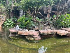 -长鹿旅游休博园