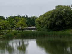 -贡湖湾湿地公园