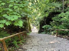 -天女山森林公园