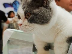 -仲盛世界商城