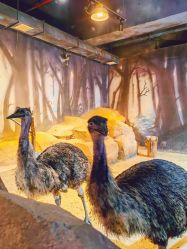 -酷嗒动物文化乐园(cutezoo西溪乐天城店)