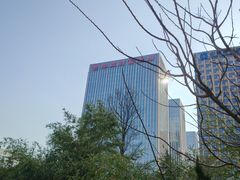 -清真·双公羊·馕坑烤全羊(奥体店)