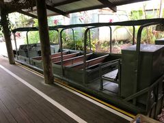 -热带雨林自然公园