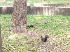-北陵公园