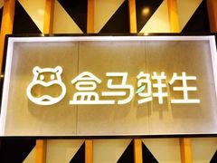 门面-盒马鲜生(岭南新世界店)