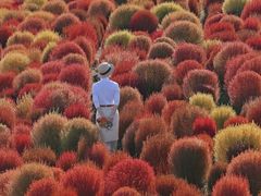 -映月湖中央公园