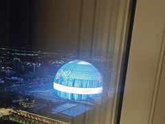 -拉斯维加斯永利酒店