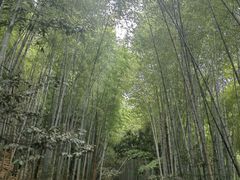 -敬亭山风景名胜区