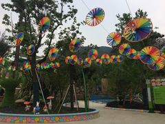 -苏州乐园森林水世界