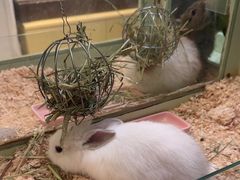 -龙猫仔乐园(惠福东路店)