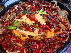 -老板恋上鱼(印象城店)