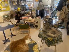 -平行世界·猫咖(首经贸店)