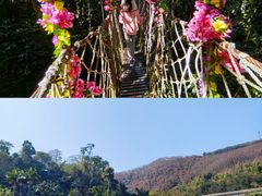 -西双版纳原始森林公园