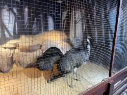 -酷嗒动物文化乐园(cutezoo西溪乐天城店)