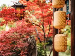 -郭庄景区