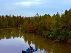 -上海长兴岛郊野公园