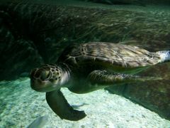 -福州罗源湾海洋世界旅游区